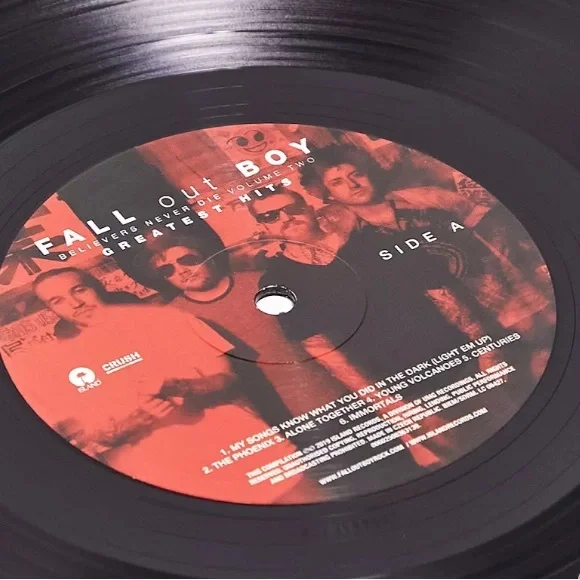 Fall Out Boy Vinyl - Picture 3 of 3